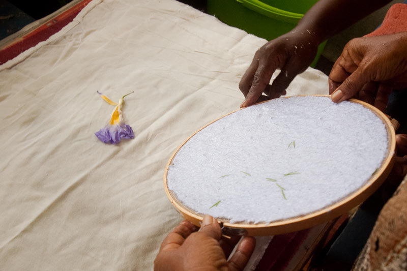 Network of Rural Women Producers Trinidad and Tobago