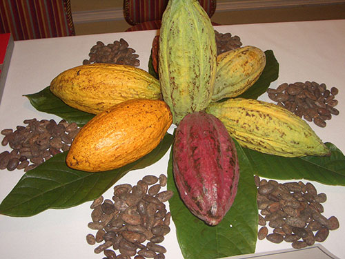 Network of Rural Women Producers Trinidad and Tobago