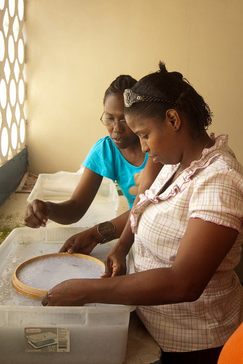 Network of Rural Women Producers Trinidad and Tobago