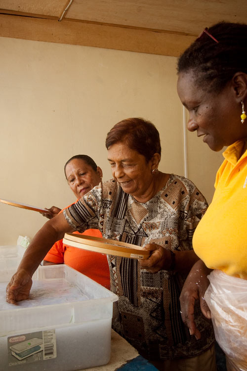 Network of Rural Women Producers Trinidad and Tobago